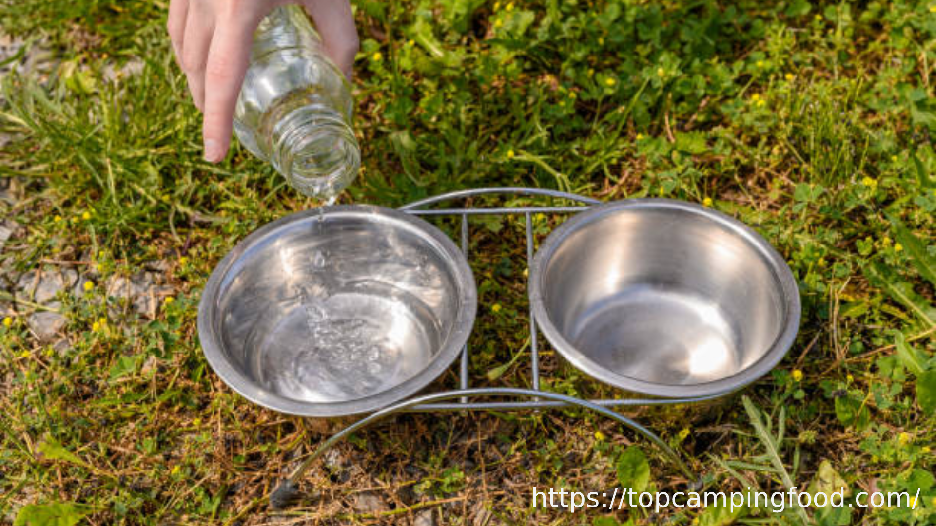dehydrated camping food